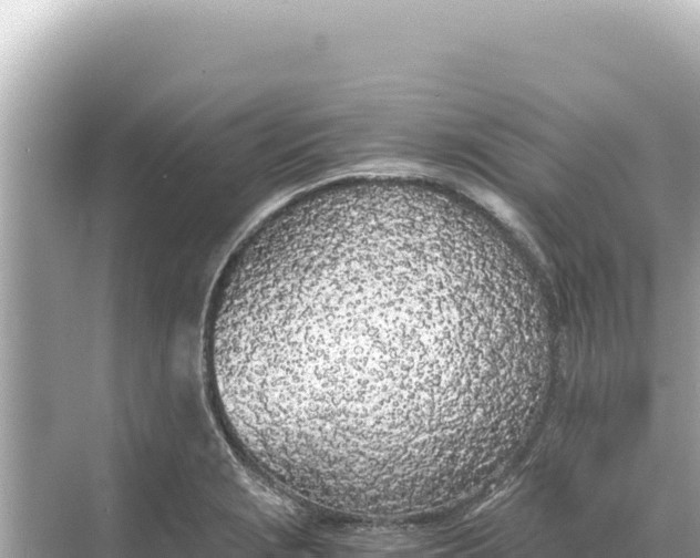 X0000068261229200605051741