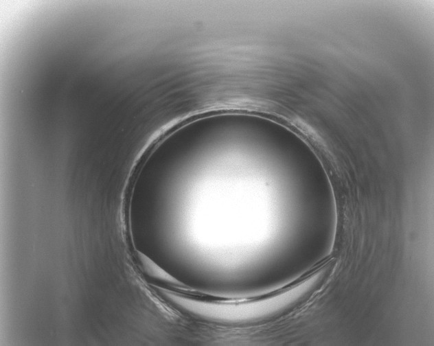 X0000068261230200605051741