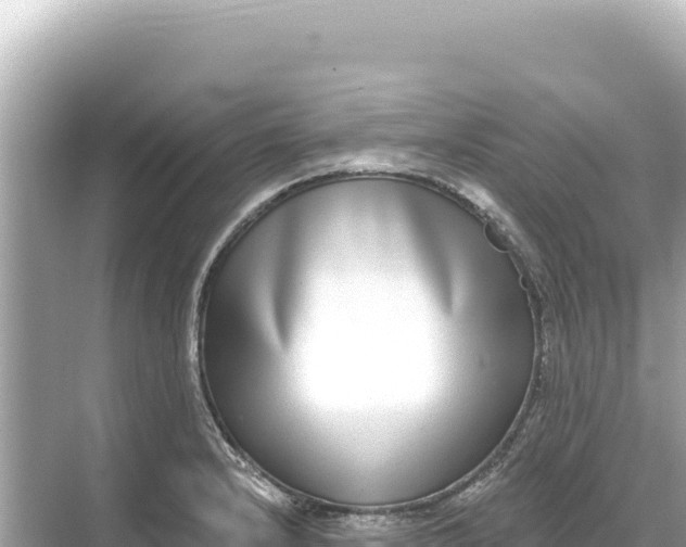 X0000068261232200605051741