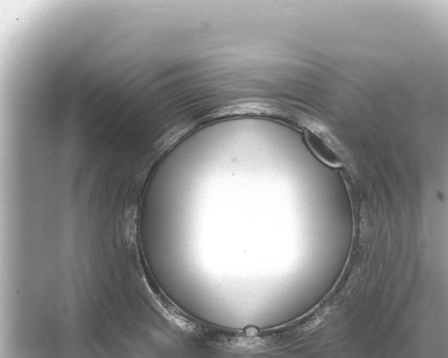 X0000068261233200605051741