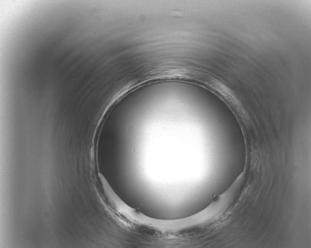 X0000068261234200605051741