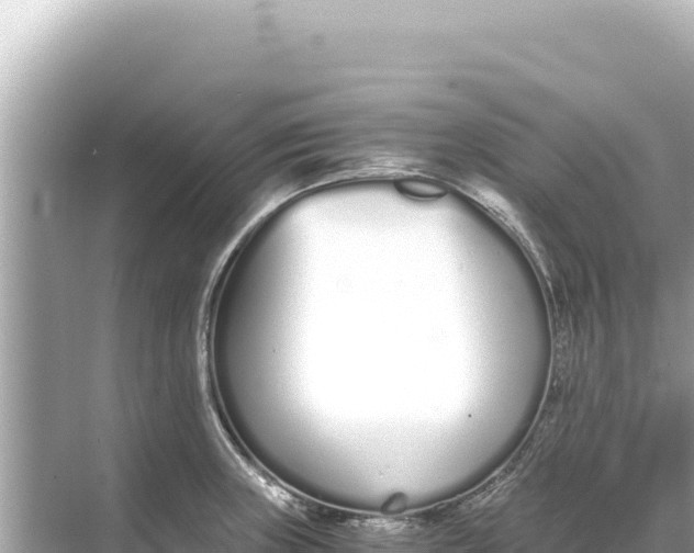 X0000068261235200605051741