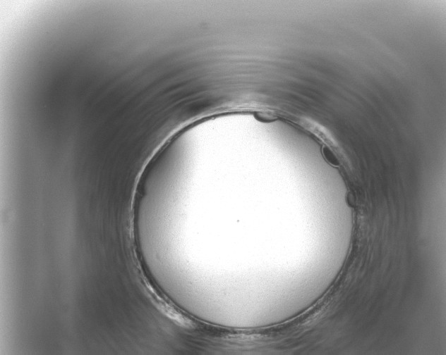 X0000068261236200605051741