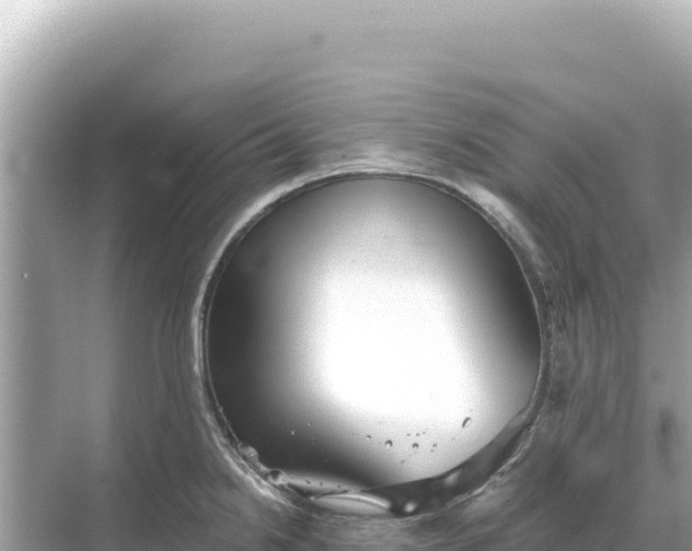 X0000068261238200605051741