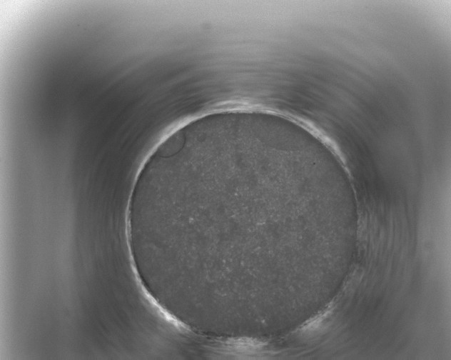 X0000068261239200605051741