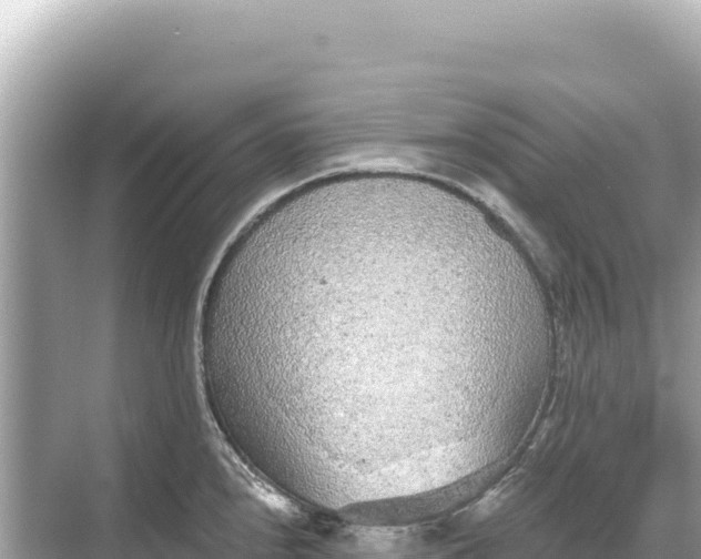 X0000068261240200605051741