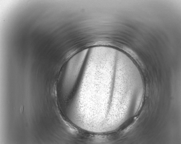 X0000068261241200605051741