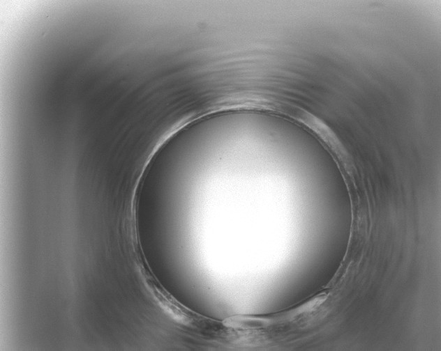 X0000068261242200605051741