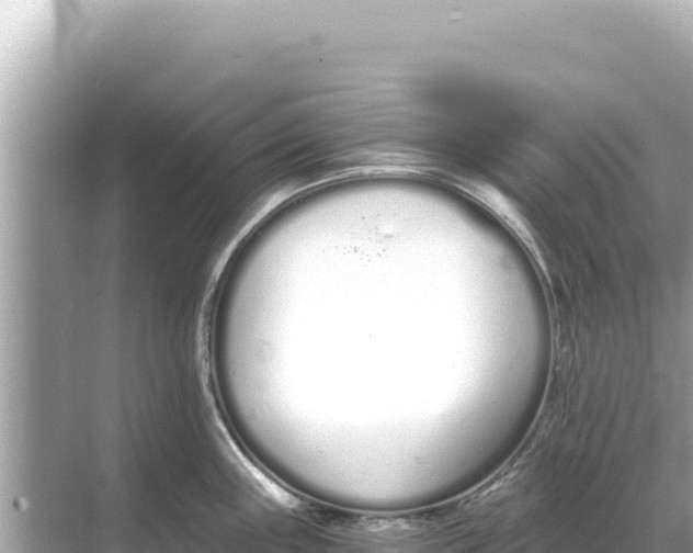 X0000068261243200605051741