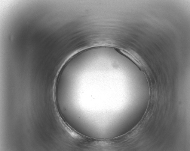 X0000068261246200605051741