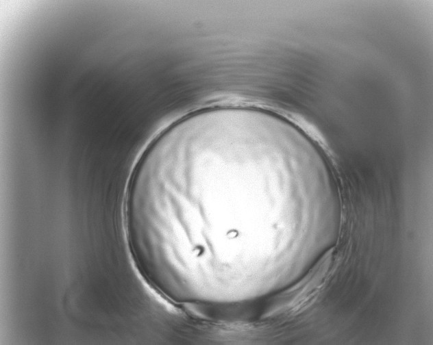 X0000068261247200605051741