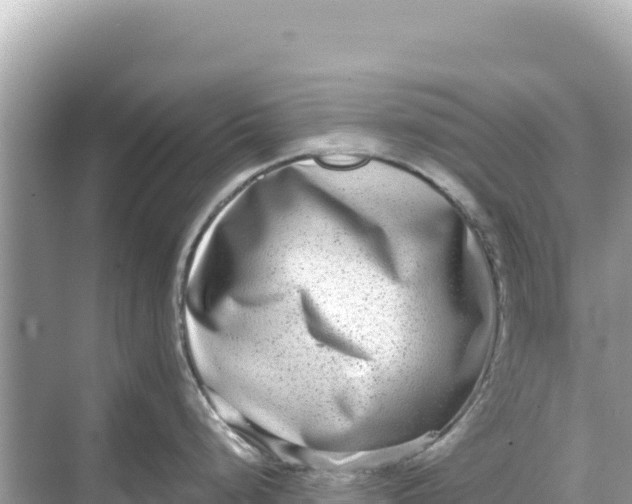 X0000068261248200605051741