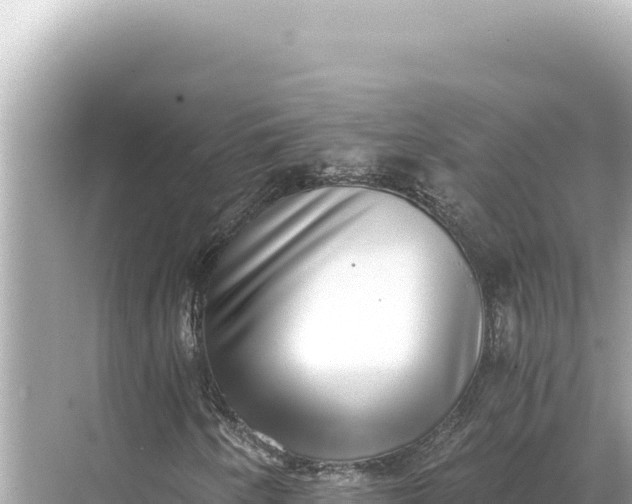 X0000068261250200605051740