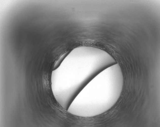 X0000068261252200605051740