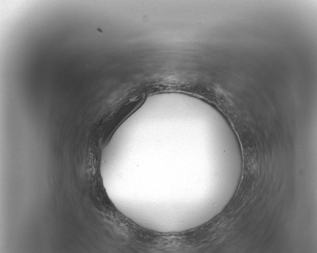 X0000068261253200605051740