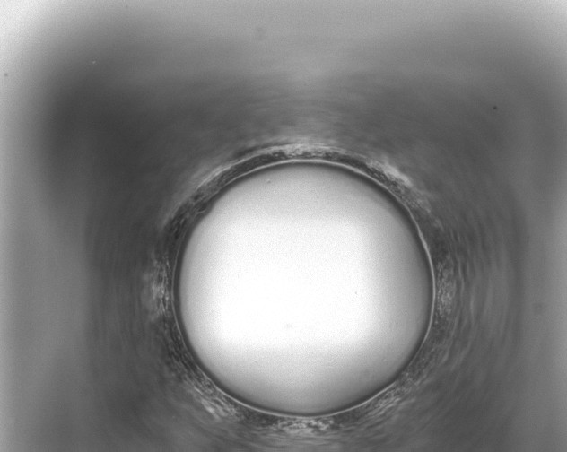 X0000068261255200605051740