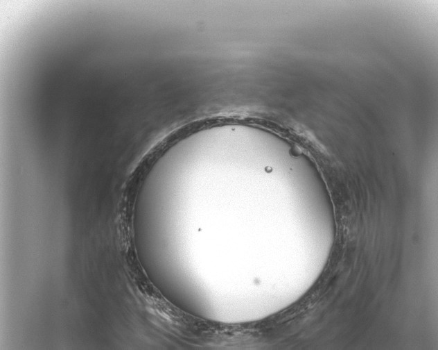 X0000068261256200605051740