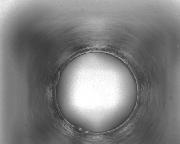 X0000068261257200605051740