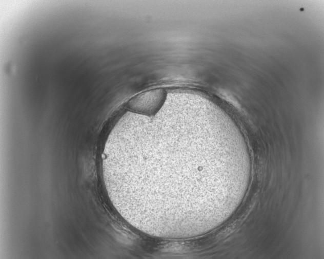 X0000068261259200605051740