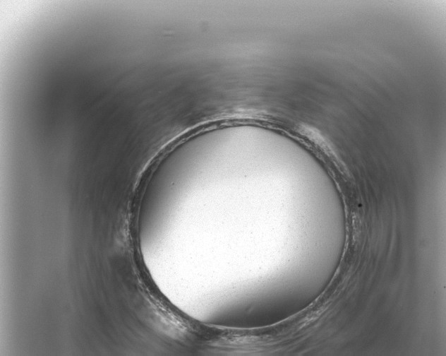 X0000068261260200605051740