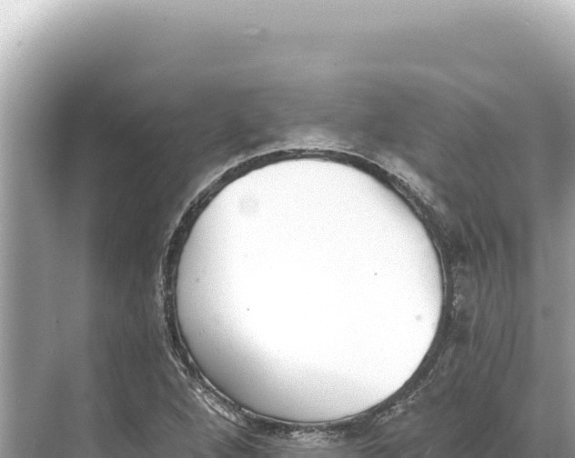 X0000068261264200605051740