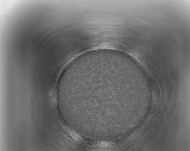 X0000068261266200605051740