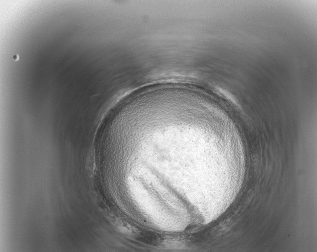 X0000068261267200605051740