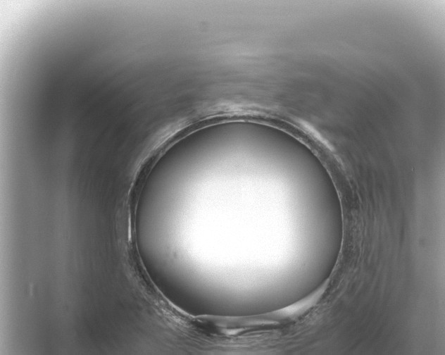 X0000068261269200605051740