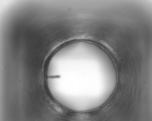 X0000068261270200605051740