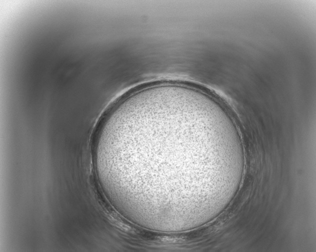 X0000068261271200605051740