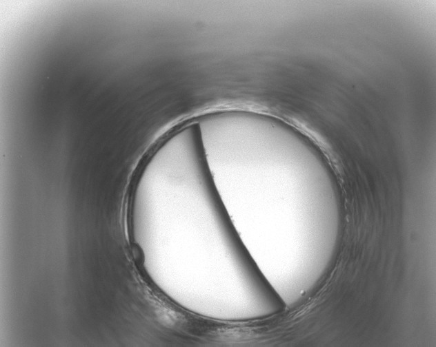 X0000068261272200605051740