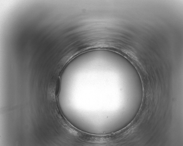 X0000068261273200605051740