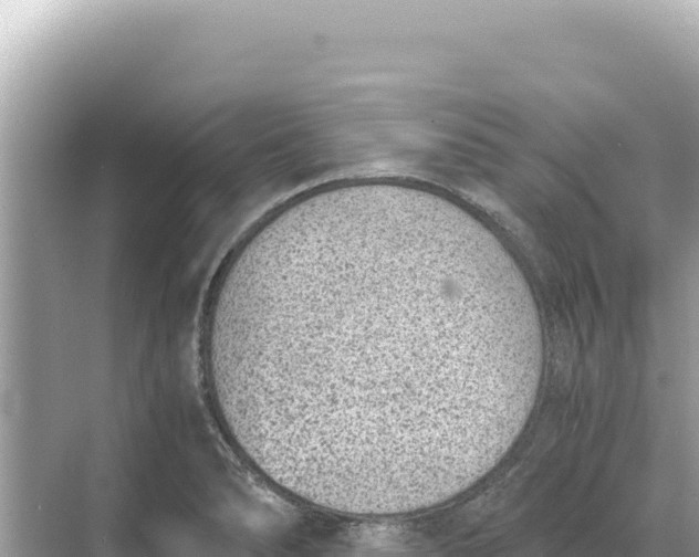 X0000068261278200605051740