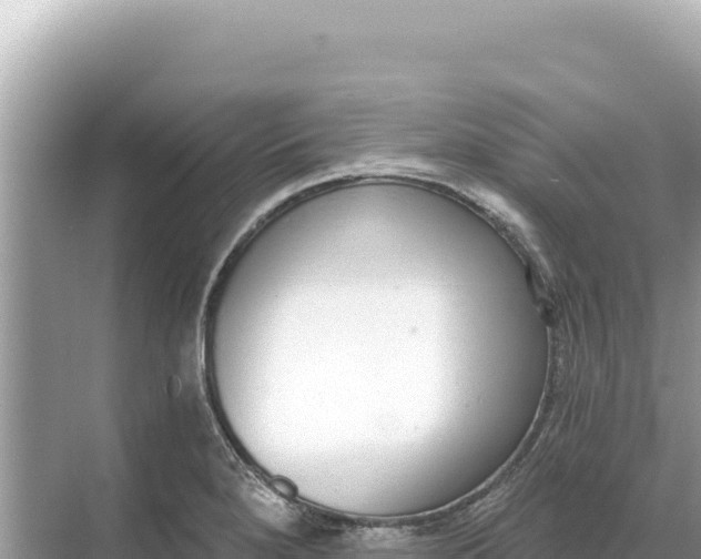 X0000068261280200605051740