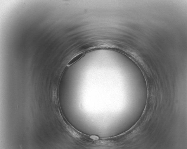 X0000068261281200605051740