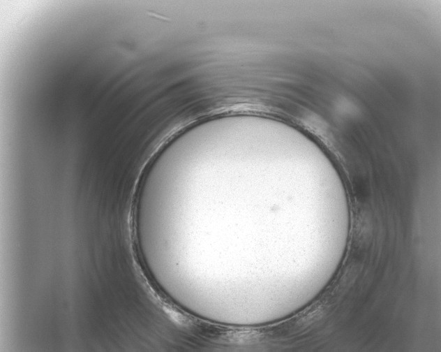 X0000068261282200605051739