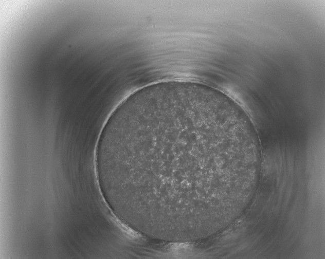 X0000068261283200605051739