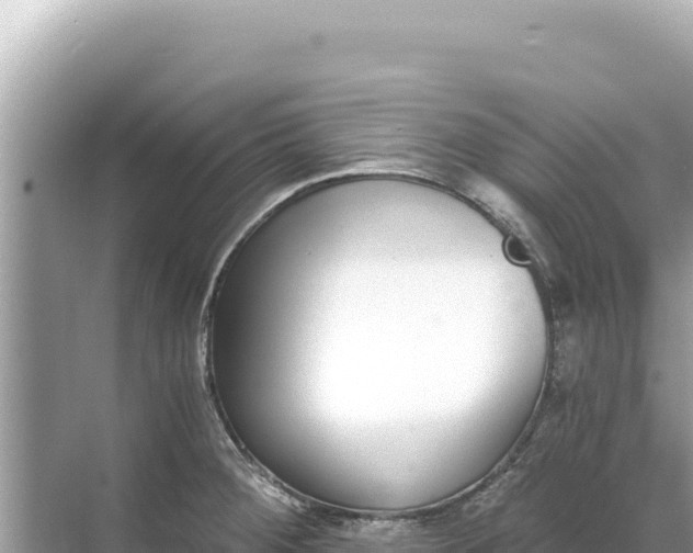 X0000068261284200605051739