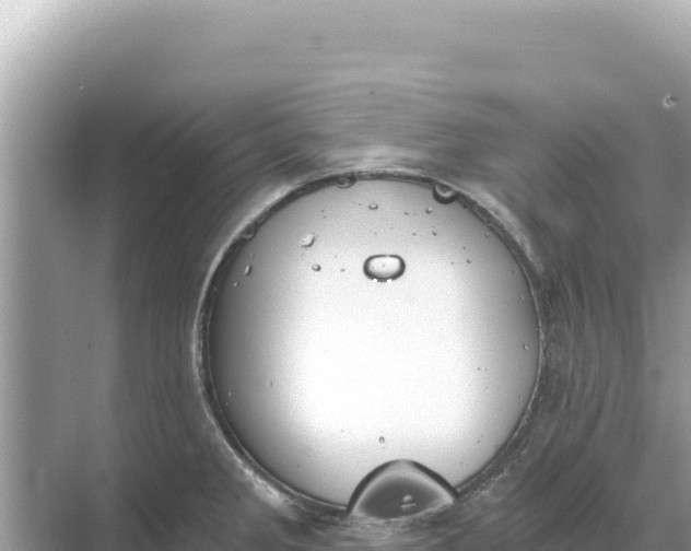 X0000068261285200605051739