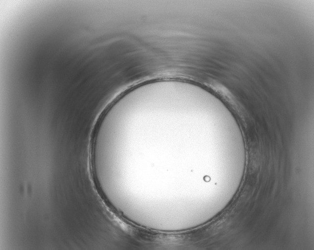 X0000068261286200605051739