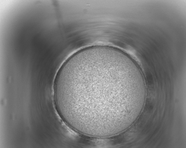 X0000068261287200605051739