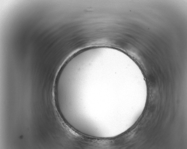 X0000068261288200605051739