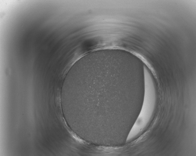 X0000068261289200605051739