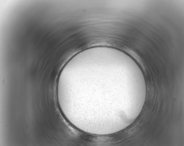 X0000068261290200605051739