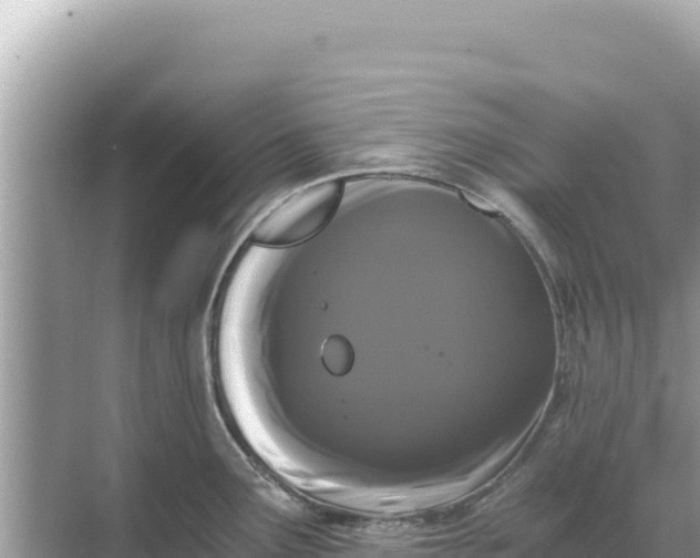 X0000068261291200605051739