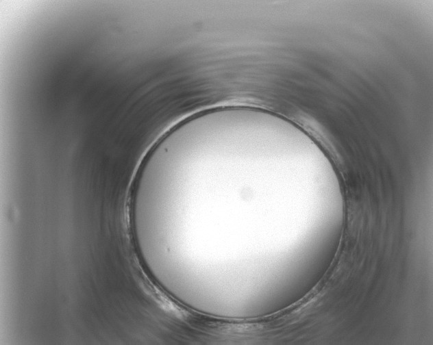 X0000068261292200605051739