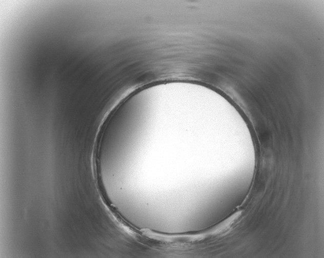 X0000068261293200605051739