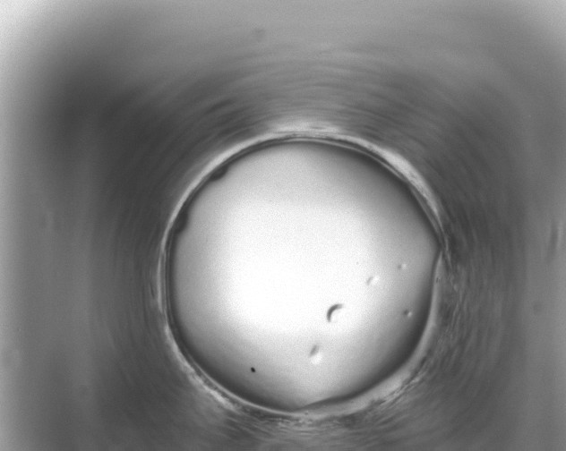 X0000068261295200605051739