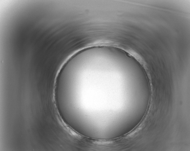 X0000068261296200605051739