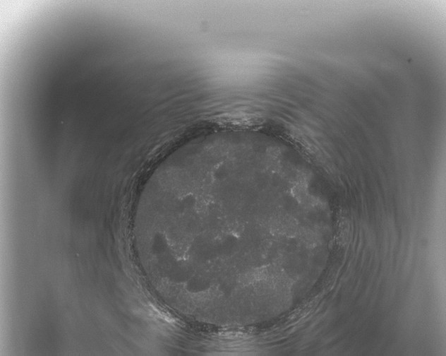 X0000068261297200605051738